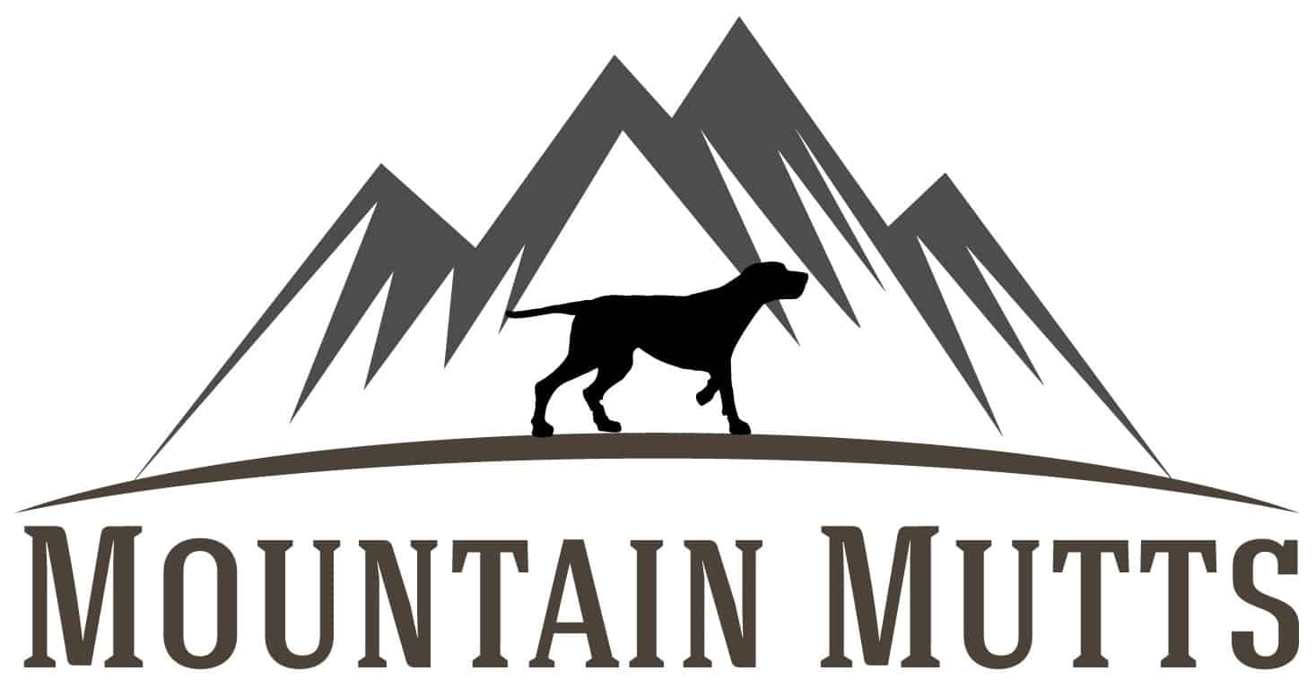 Mountain Mutts Best of Jackson Hole Local guide to Jackson, WY